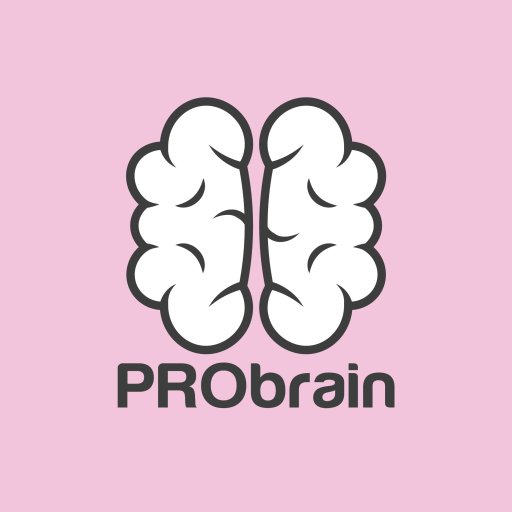 Probrain, академия детского развития