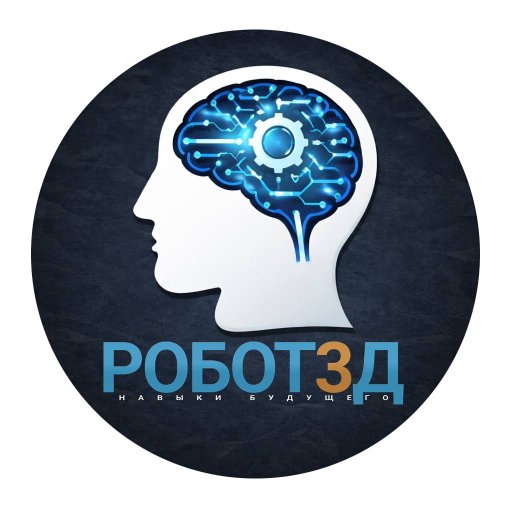 Кружок робототехники и программирования «Робот 3Д»