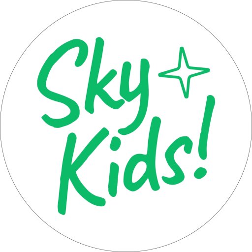 Детский образовательный центр Sky Kids