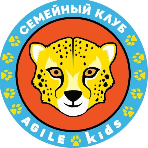 Сеть детских садов, школа, лагерь AGILE kids